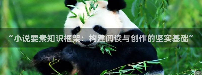 同人免费全本小说：“小说要素知识框架：构建阅读与创作的坚实基础”