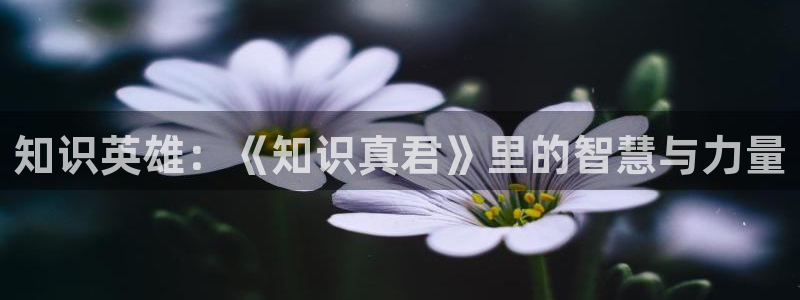 5200免费全本小说网全文阅读下载：知识英雄：《知识真君》里的智慧与力量